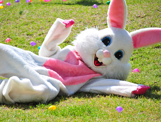 Easter bunny visiting Easter Brunch at the Catamaran Resort